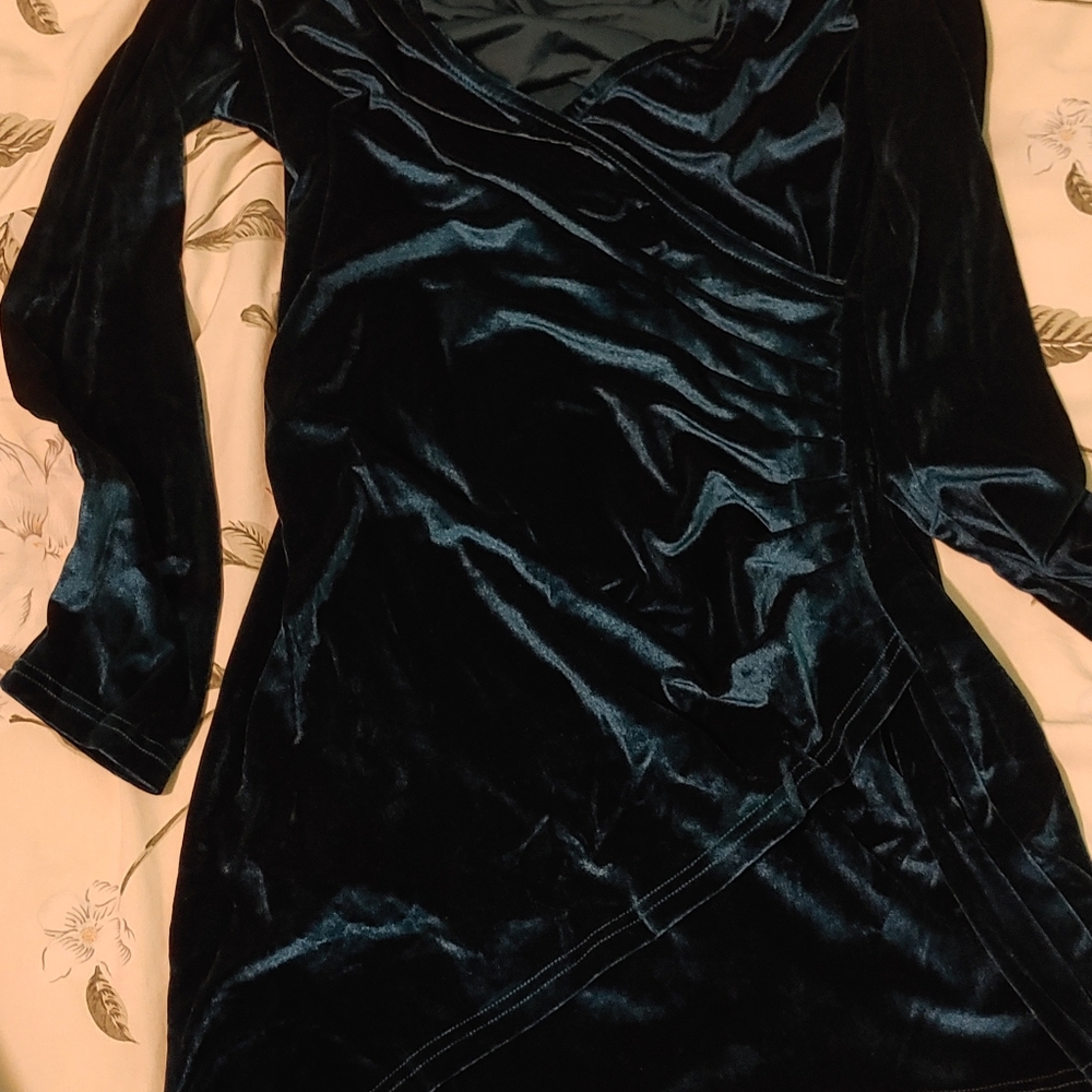 Blue Velvet Dress - Picture 8 of 8